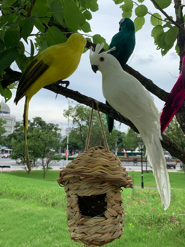 Tuindecoratie - ParrotGlow - Exotische Papegaai - Levendige Accenten