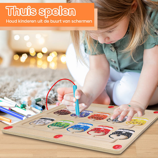 EcoToys™ - Leerzaam doolhofavontuur met magneten - Magnetisch sorteerbord