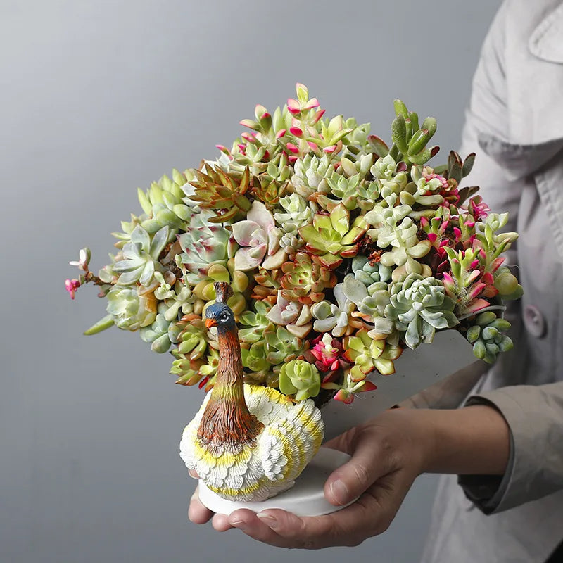 Plantenbak - ProfoundPeacock - Handgeschilderde Display - Groot Pauwenverenontwerp