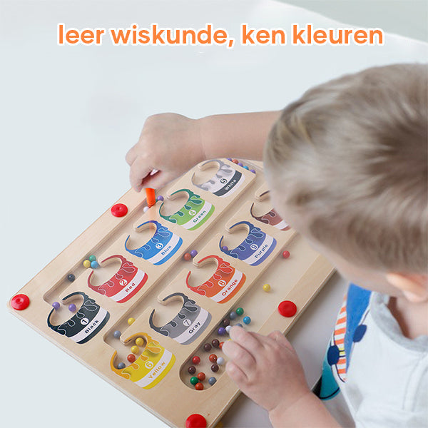 EcoToys™ - Leerzaam doolhofavontuur met magneten - Magnetisch sorteerbord