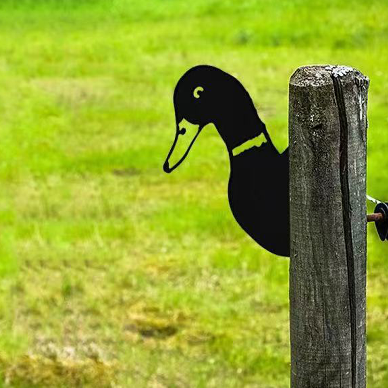 Boerderijdecoratie - PeepFarm - Realistisch Dierontwerp - Tuin Metaalkunst