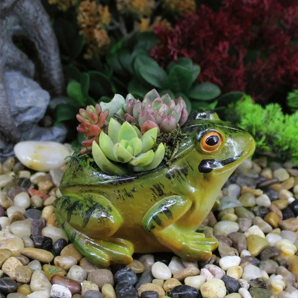 Plant pot - Froggy - Schattig design - plantenpot