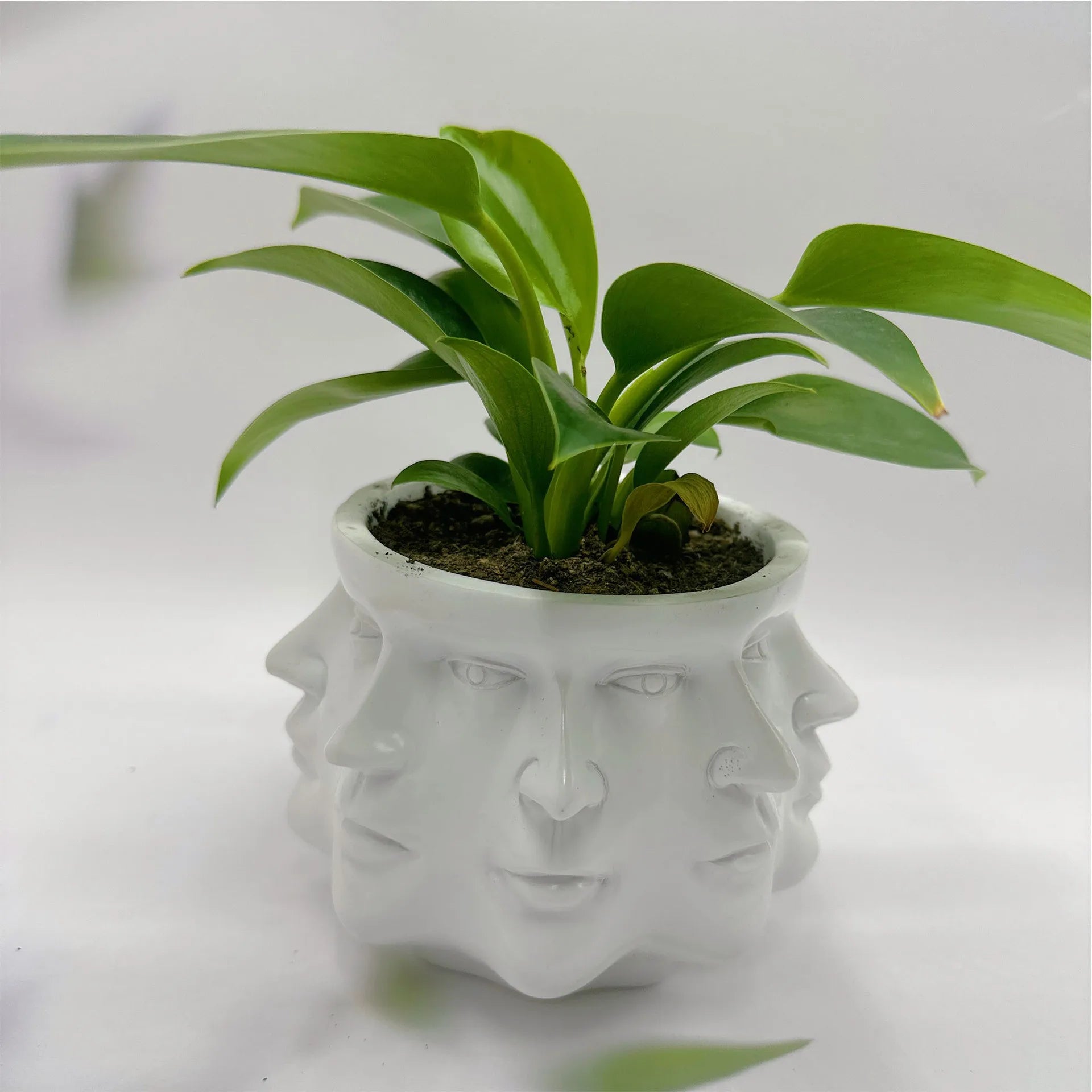 Planter - Facescape - 3D Menselijk Gezicht - Binnen of buitenversiering