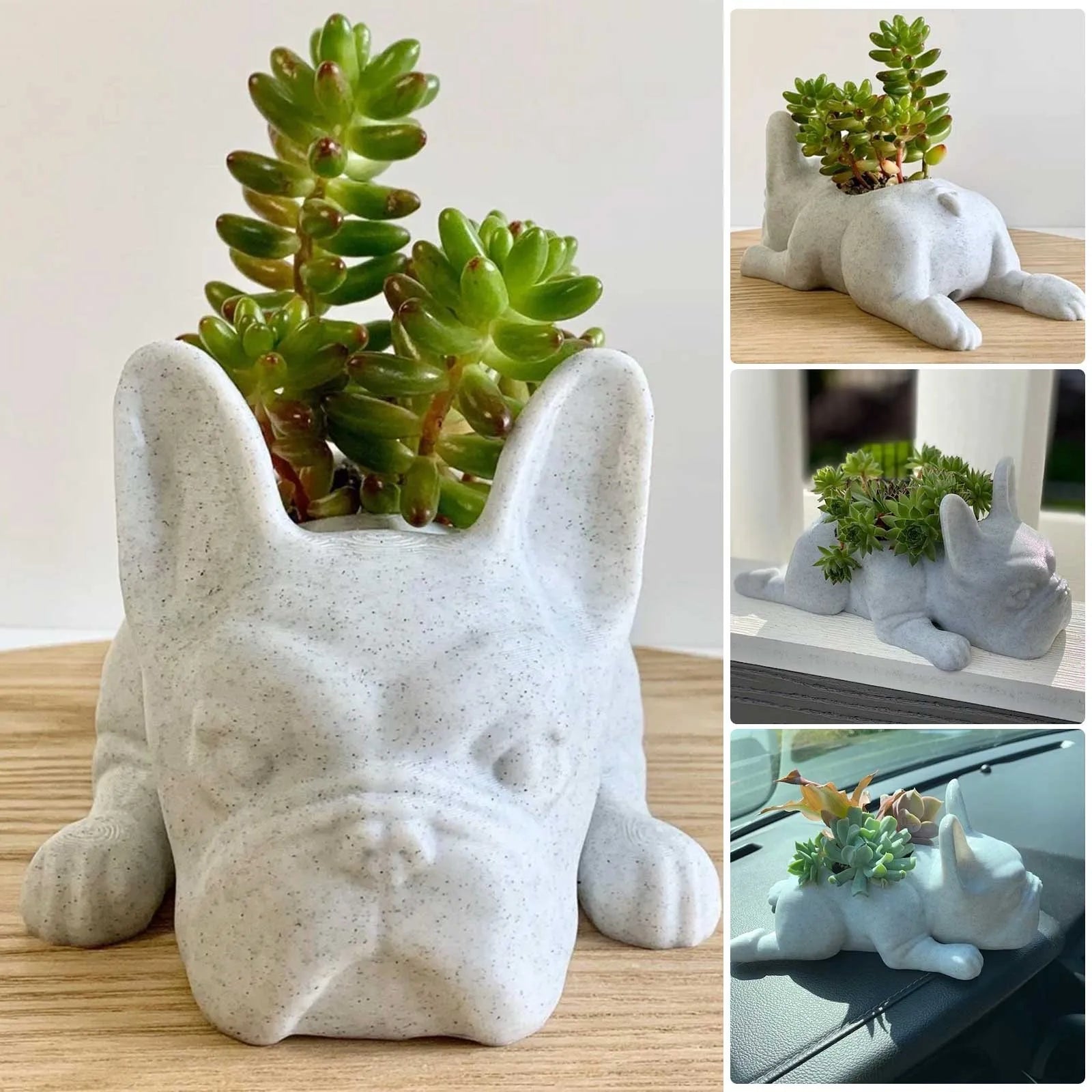 Vetplant bloempot - Pup - Hars Honden - Franse bulldog