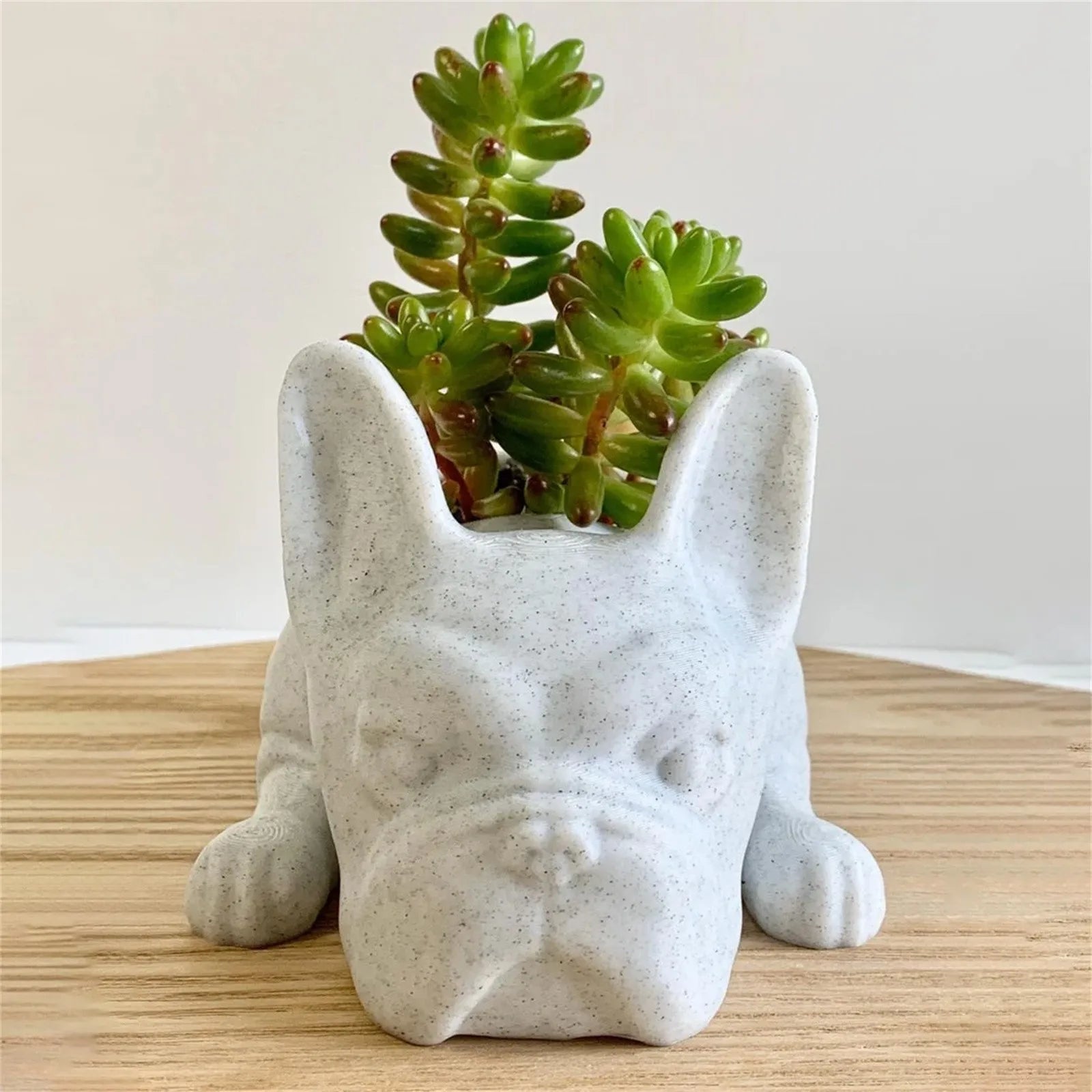 Vetplant bloempot - Pup - Hars Honden - Franse bulldog