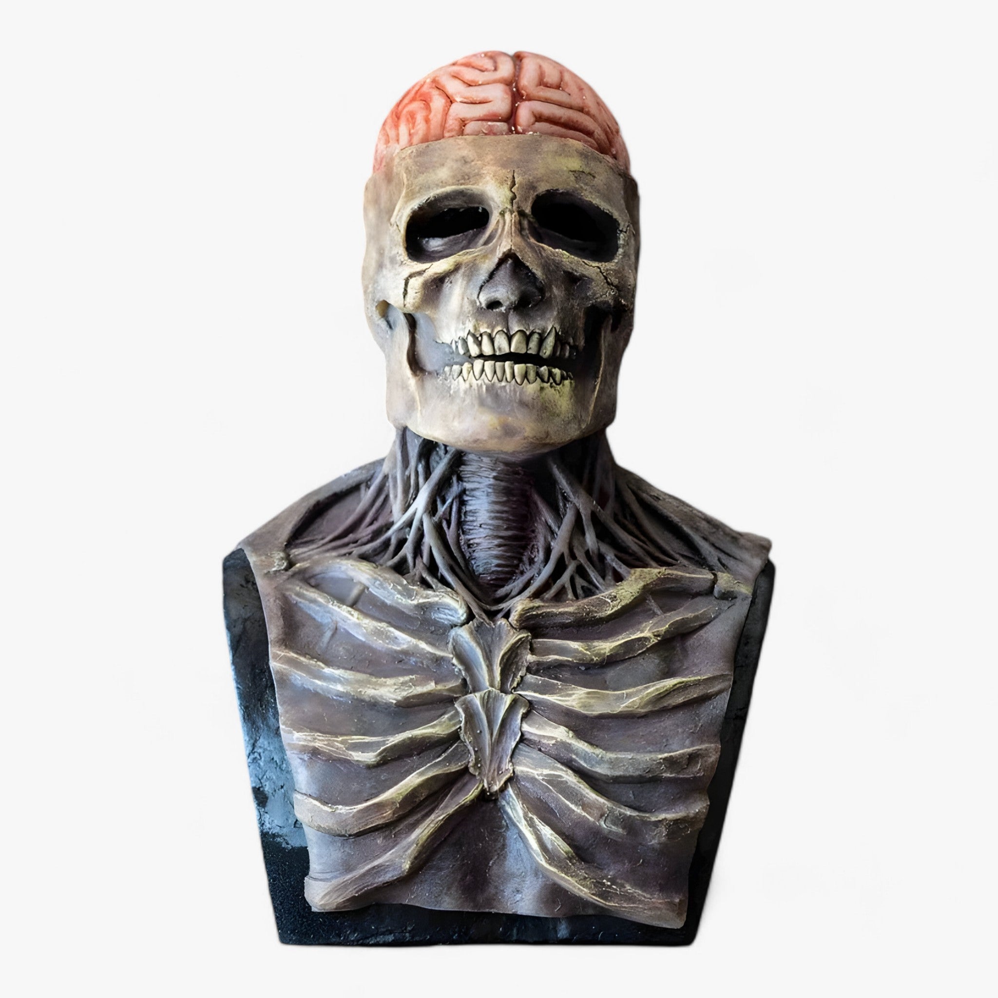 Skelet Masker - Skullify - Realistisch Halloween Kostuum - Perfecte Decoratie