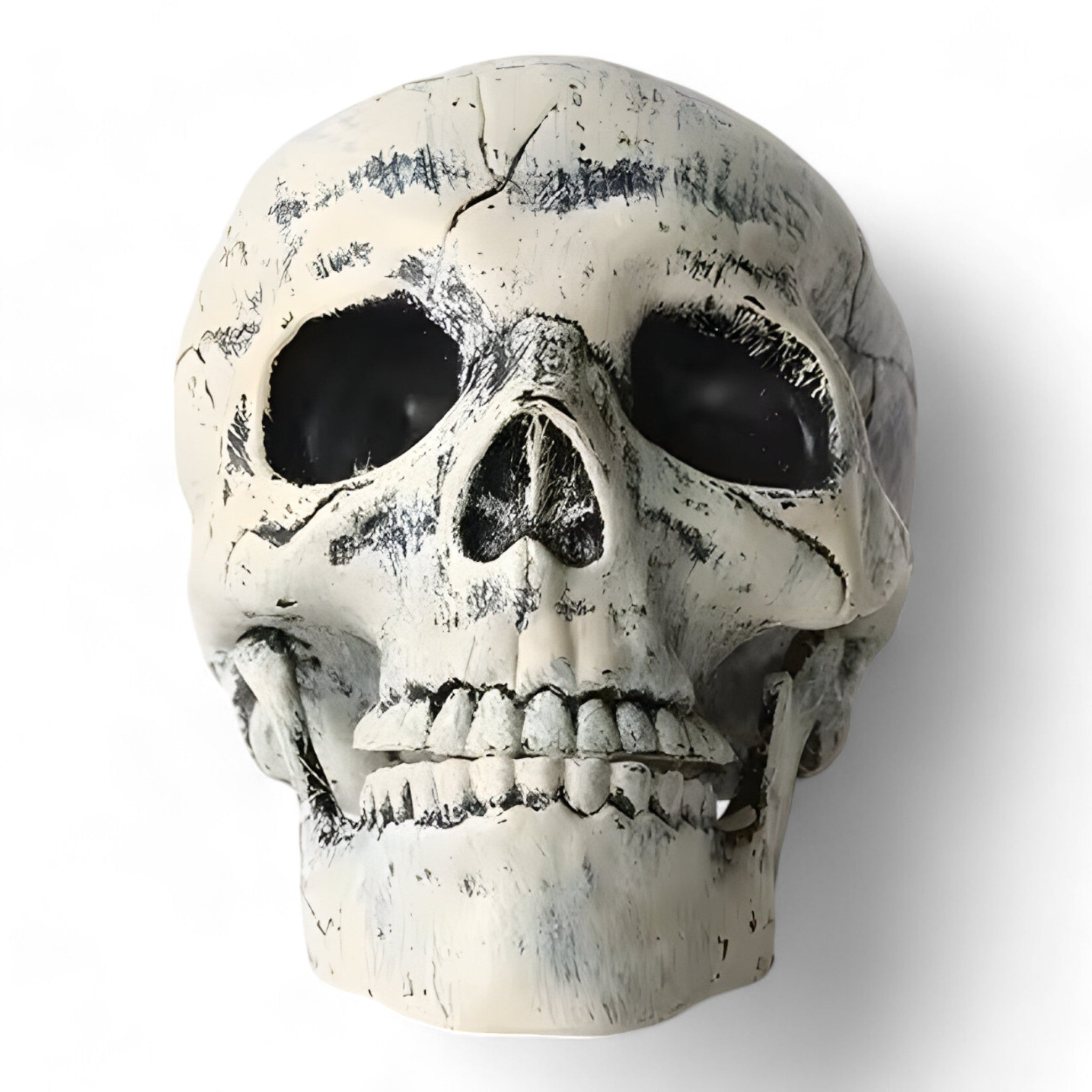 Skeletornamenten - Halloween - Phantom - Halloweendecoratie - Plastisch Skelet